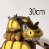 30cm