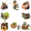 kf S2a77649b90e746ec93292f37d15d04b9c - Studio Ghibli Shop